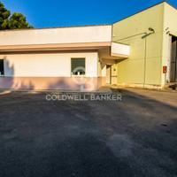 Capannone - San Pietro Vernotico