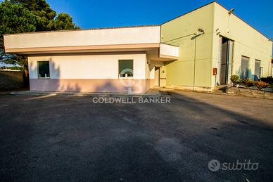 Capannone - San Pietro Vernotico