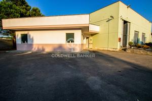 Capannone - San Pietro Vernotico