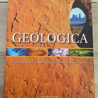 Coenraads; Koivula, GEOLOGICA, Gribaudo