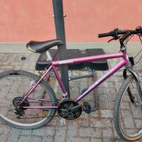 Bicicletta mountain-bike 
