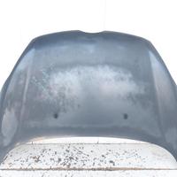 1774791 COFANO ANTERIORE FORD FIESTA VI (6° SERIE)