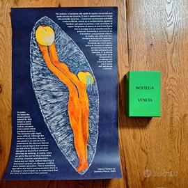 Vieni a vedere. Gaetano Pesce per Bottega Veneta