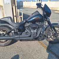 harley davidson  softail low ride 
