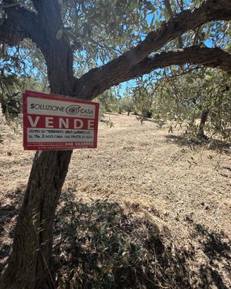 Santa ninfa terreno 2600 mq zona artigianale