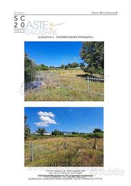 Terreno Residenziale Osimo [A4337883]