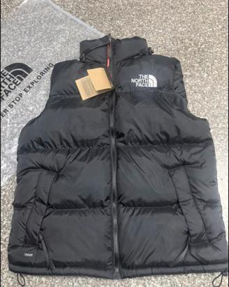 the North face 