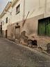 immobile-di-20-m²-a-palma-campania