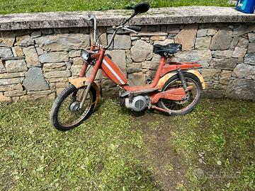 Motorino Giulietta Pointer