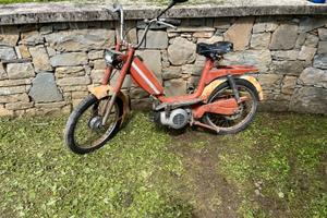 Motorino Giulietta Pointer