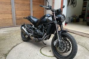 Benelli Leoncino 500 X TRAIL