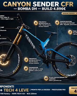 canyon Sander CF 9.0