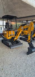 Escavatore 18 quintali (kubota)