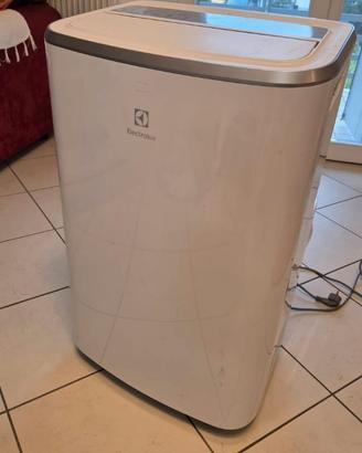 Climatizzatore Electrolux