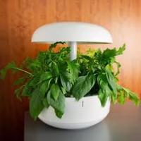 Plantui - Smart Garden