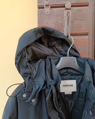 giubbotto uomo Geox 