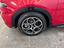Immagine 7