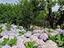 Immagine 26