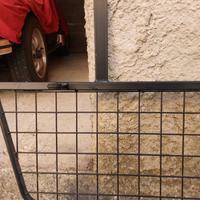 Barriera per cani da auto