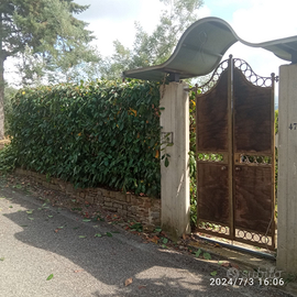 Cilento agropoli castellabate 8 km dal mare