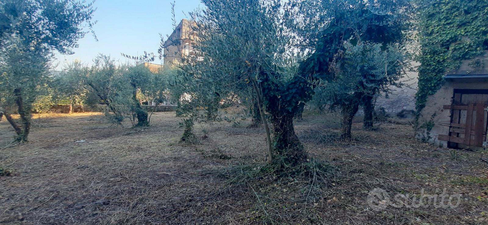 Vendita terreno - Vista 2