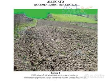 Terreno Agricolo Mondavio [A4342335]
