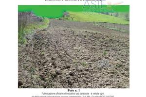 Terreno Agricolo Mondavio [A4342335]