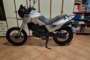 Pegaso 650 revisionata