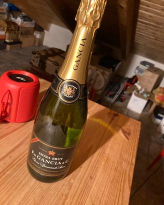 Gran spumante secco extra brut f.lli gancia