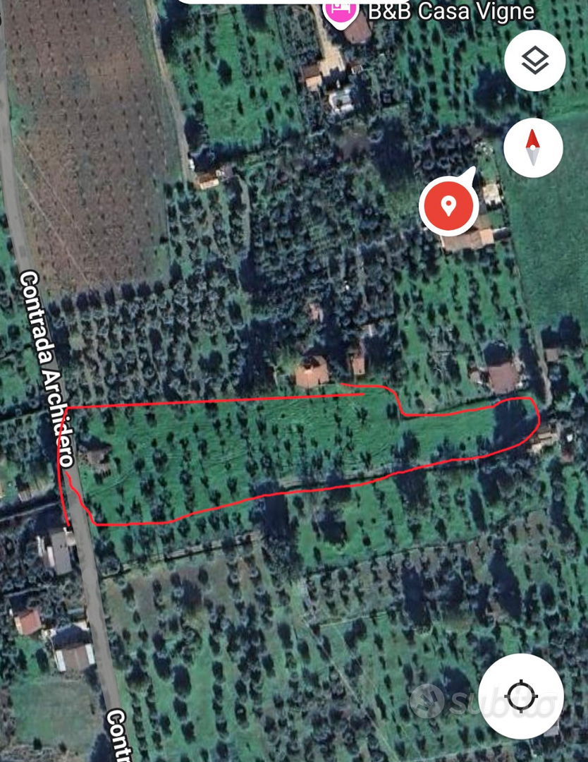 Terreno con rustico e ulivi - Vista 2