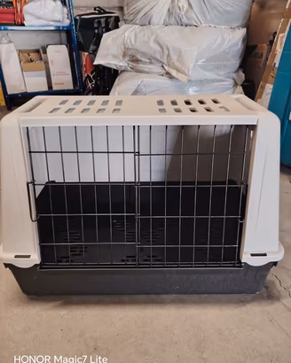 kennel