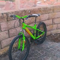 Mtb Atala 24