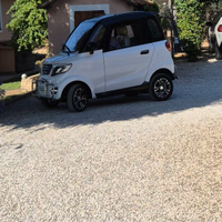 Cabinato elettrico per disabili