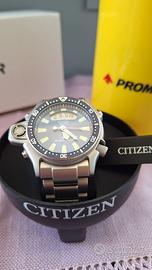 Citizen Aqualand Promaster