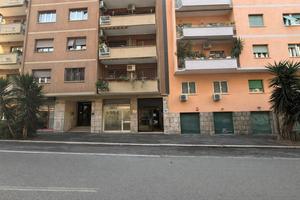 Cipro - locale commerciale c/1