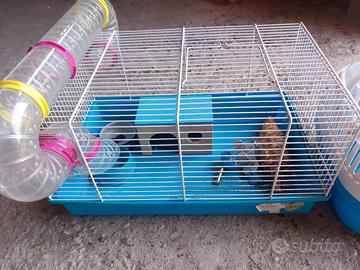 gabbia e trasportino piccoli roditori