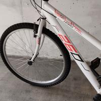 bicicletta da bambino/a.