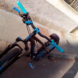 Bicicletta