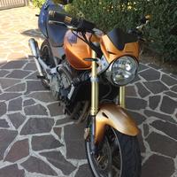 Honda Hornet