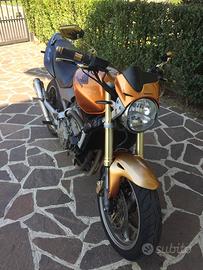 Honda Hornet