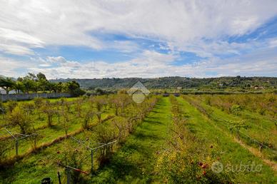 TER. AGRICOLO A MONFORTE SAN GIORGIO