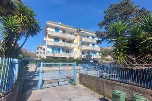 3 LOCALI A PELLEZZANO