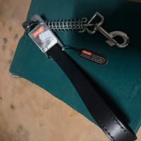 Guinzaglio a manico a molla