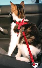 Pettorina con cintura auto gatti