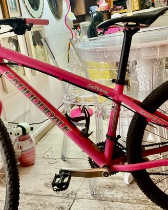 MTB CANNONDALE “CAFFEINE”-HANDMADE USA ( RUOTA 26’
