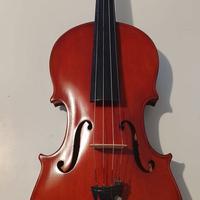 violino