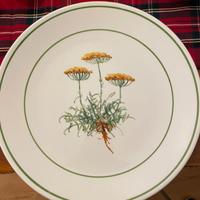 Piatto Ristoranti Superbe ‘95