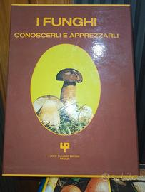 I funghi conoscerli e apprezzarli