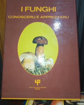 I funghi conoscerli e apprezzarli
