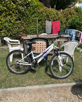 Bicicletta bambina